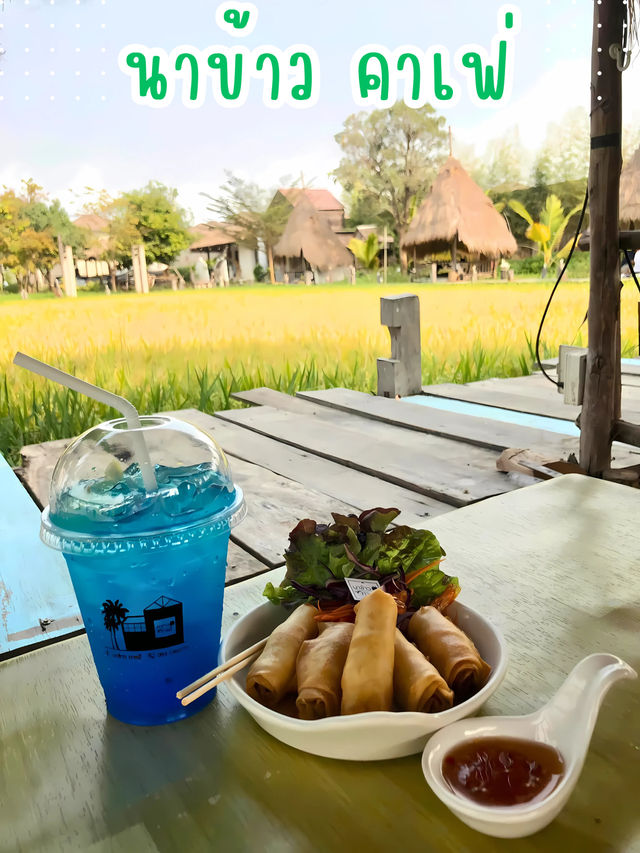 🌿 นาข้าว คาเฟ่