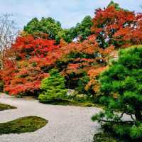 【京都紅葉】京都の秋旅に絶対訪れたい！南禅寺天授庵