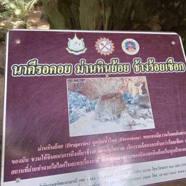 อัศจรรย์ธรรมชาติที่หุบป่าตาด✨️