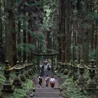 大歲神社📝清幽靜謐⛩️🌲