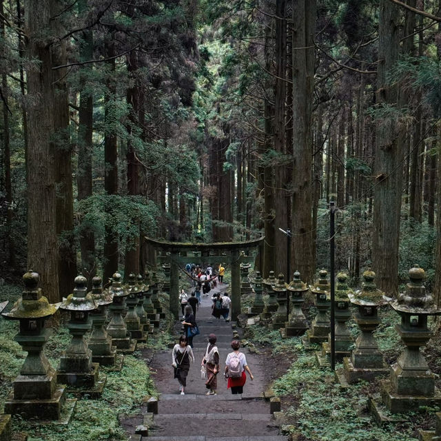 大歲神社📝清幽靜謐⛩️🌲