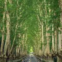 Nanjing - A City of Rich History and Modern Charm
