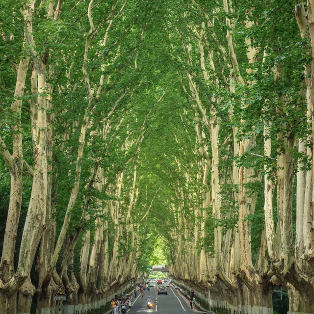 Nanjing - A City of Rich History and Modern Charm