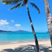 Embrace the Coastal Charm of Airlie Beach, Queensland