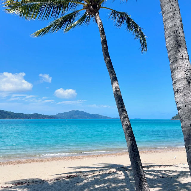 Embrace the Coastal Charm of Airlie Beach, Queensland