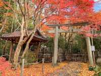 【京都】庭園のある絶景紅葉の穴場スポット