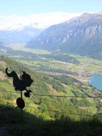 Brienz Rothorn Bahn: A Magical Summer Ride in Switzerland