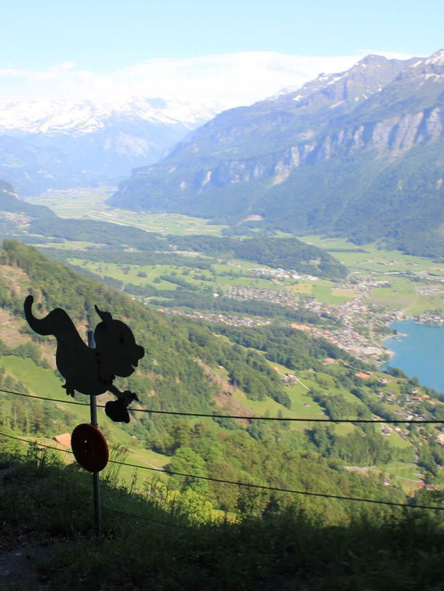 Brienz Rothorn Bahn: A Magical Summer Ride in Switzerland