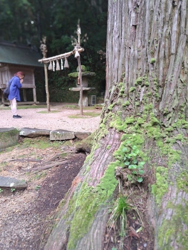 【島根】松江のパワースポットを巡る旅