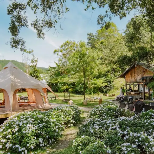 Camping in dalat city
