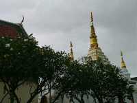 พาคุณพ่อเดินเล่นในเมืองเชียงราย วัดเจ็ดยอด