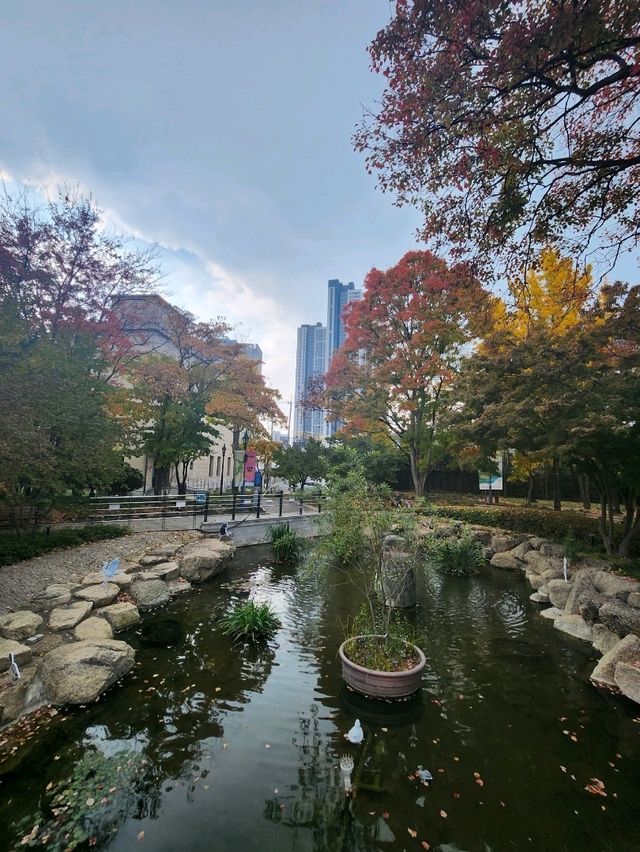 가을의 정취를 느낄수있는 대구 경상감영공원🍂