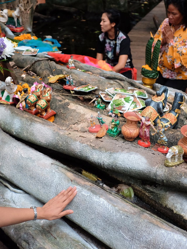 คำชะโนด: ดินแดนศักดิ์สิทธิ์แห่งพญานาค