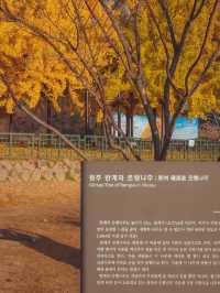 내 인생 제일 큰 집채만한 은행나무를 보았다“반계리 은행나무”