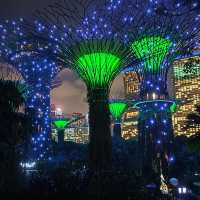 Illuminating Nights: The Aurora of Gardens by the Bay