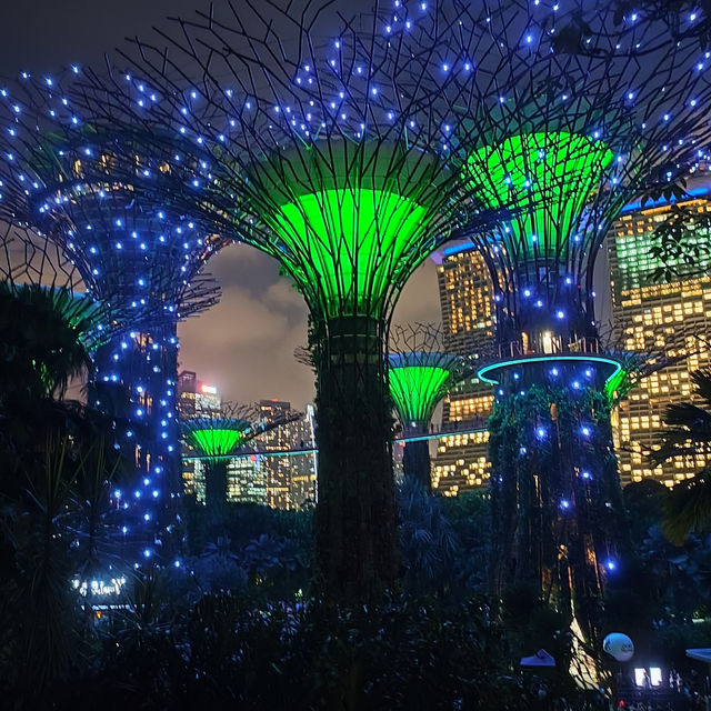 Illuminating Nights: The Aurora of Gardens by the Bay