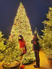 크리스마스에 진심인 경주호텔🎄