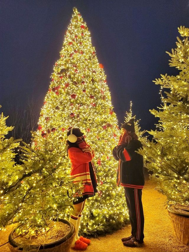 크리스마스에 진심인 경주호텔🎄