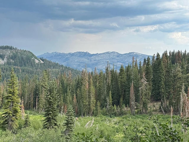 The Rubicon Trail: An Iconic Adventure in the Sierra Nevada