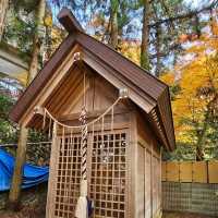 有馬溫泉銀杏秘境 〔潼本神社〕