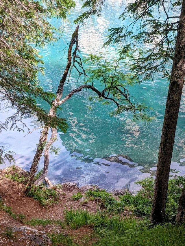阿爾卑斯山的珍珠，東多洛米蒂的絕美景點：布萊埃斯湖 Lago di Braies