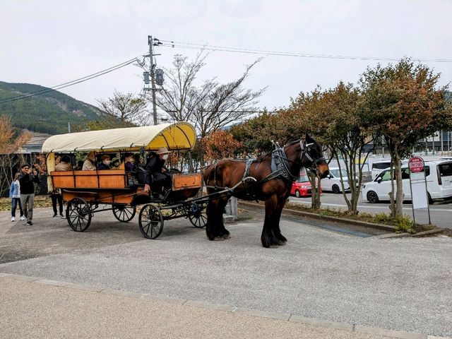 彷如與自然結合的美麗建築：由布院遊客服務中心