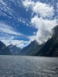 Milford Sound 🛳️ ล่องเรือดูวิวหุบเขาสุดอลังการ 