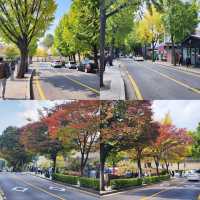 Autumn in Seoul