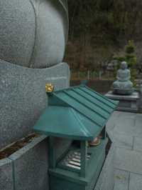 【福井】猫がたくさんのお寺🐈