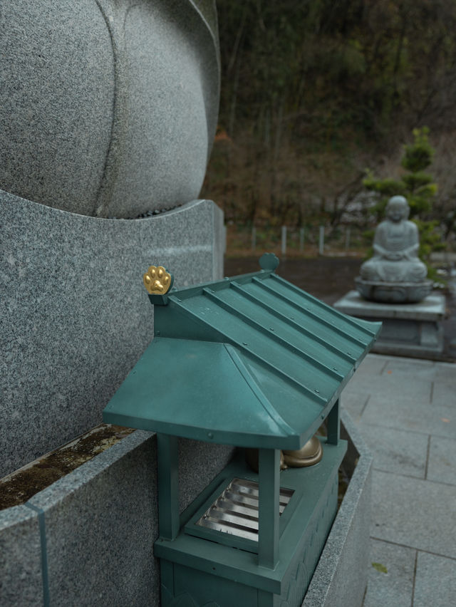 【福井】猫がたくさんのお寺🐈