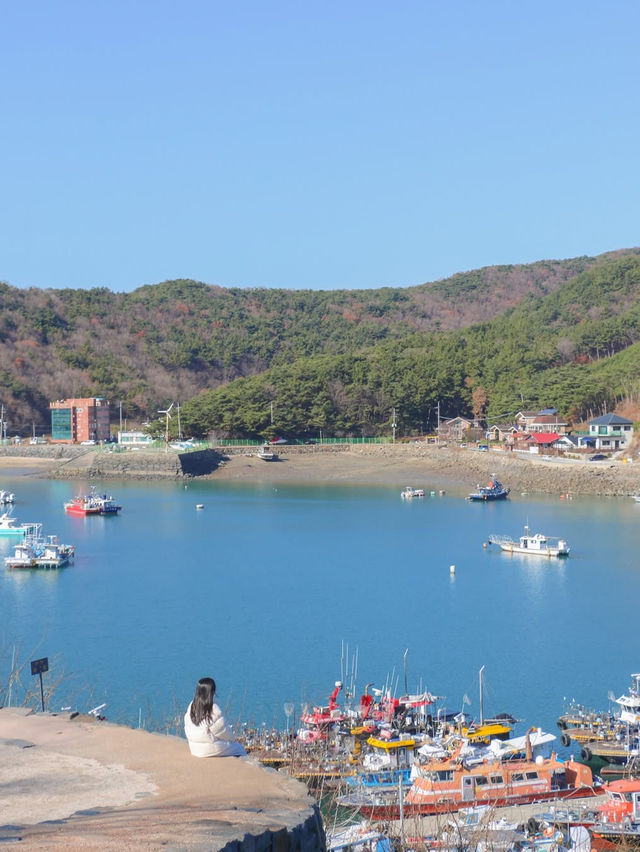 바다부터 체험까지, 겨울에 더 즐거운 보령여행🌊❄️🩵