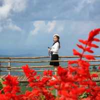 ถ่ายรูปสวย ที่ยิ่งยงสวนดอกไม้ จ.เชียงใหม่