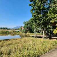 เที่ยวพักผ่อนท่ามกลางธรรมชาติ - Phuanna Eco House