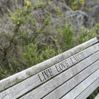 Take in Queenstown's Beauty: A Hike Up Queenstown Hill