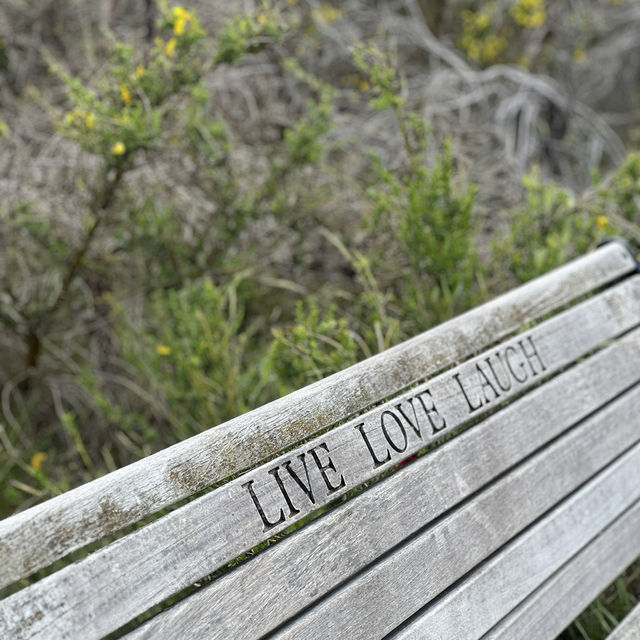 Take in Queenstown's Beauty: A Hike Up Queenstown Hill