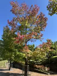 🇯🇵遊津山市 Green Hills🌲尋岡山森林藝術祭