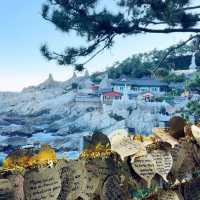 Serenity by the Sea: A Visit to Yonggungsa Temple 🇰🇷