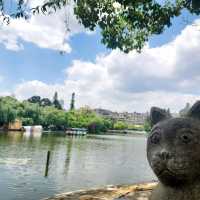 One Day @ Kunming