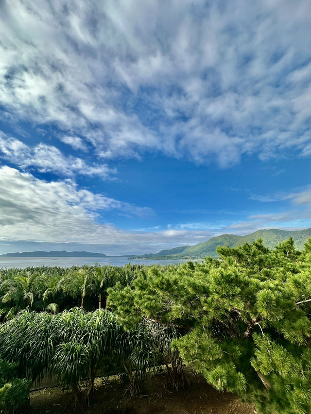 【石垣島】やいま村