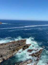 Wilderness Wonder: Exploring Flinders Chase National Park, Kangaroo Island