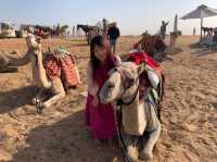 Fun Camel Ride at the Pyramids of Giza🐫