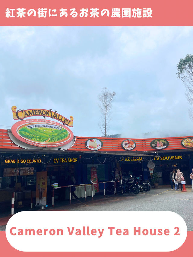 【紅茶の街を旅行】マレーシア旅で楽しみたい紅茶農園散歩！