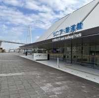 A Trainspotters Dream, Everything You Need To Know about HSR in Japan 🚆 🇯🇵 