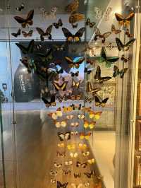Melbourne Museum is a must-visit destination