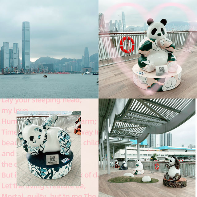 💖🌊長沙灣海濱花園•情人節的浪漫聖地 💖🌊