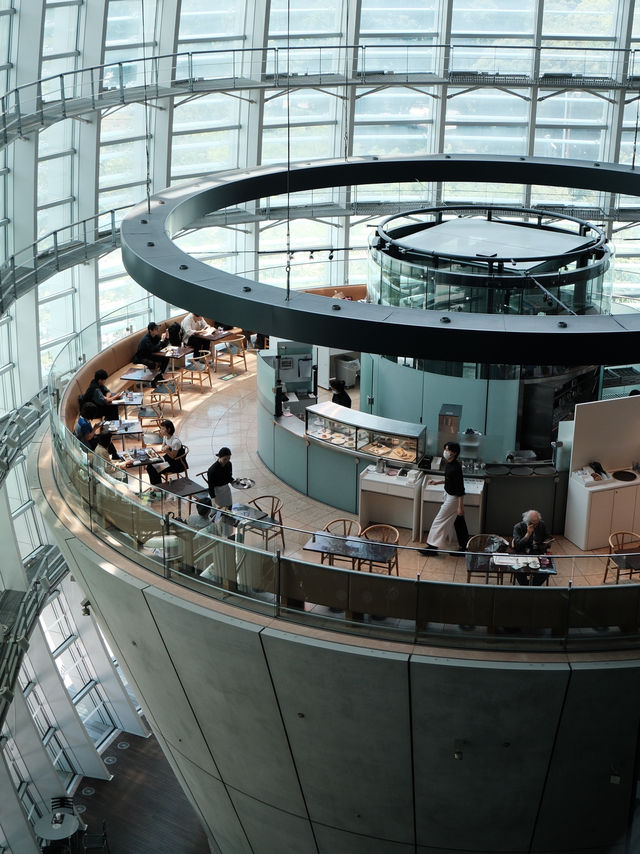穿梭於藝術與電影的浪漫空間—國立新美術館🇯🇵參訪體驗