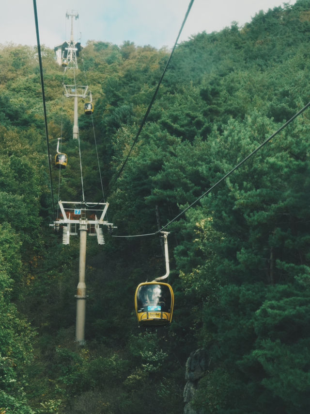 情侶必去！浪漫滿分的大邱八公山
