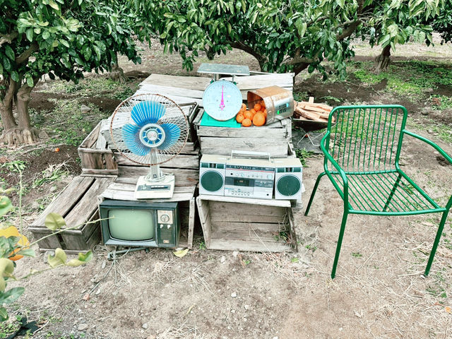 🔥🪵🏕️ 챙길 것 없이 즐기는 캠핑 