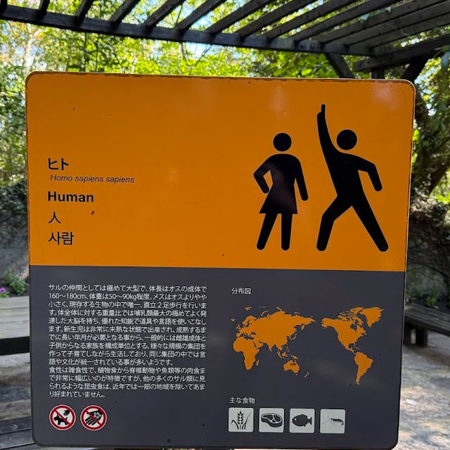 ☾︎長崎☽︎ 触れ合いメインの動物園