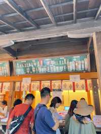 ไหว้พระ ขอพร ที่ศาลเจ้า | คามาคุระ ⛩️🏮